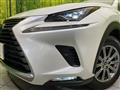 2019 Lexus NX