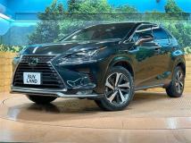 2020 Lexus NX