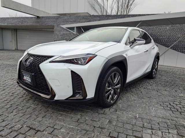 2019 Lexus Other