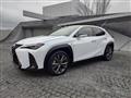 2019 Lexus Other