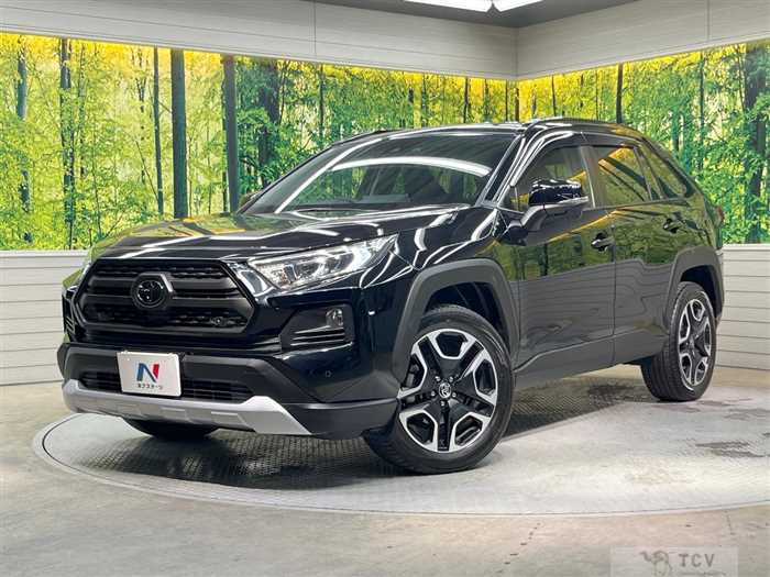 2019 Toyota RAV4