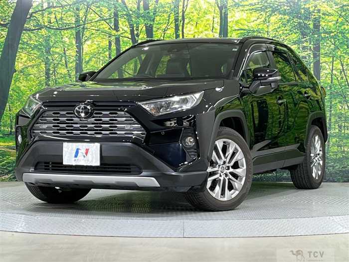 2019 Toyota RAV4