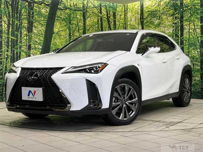 2019 Lexus Other