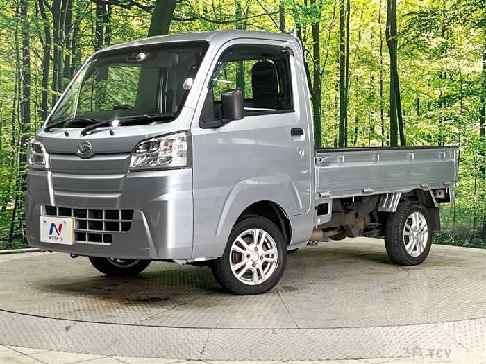 2020 Daihatsu Hijet Truck