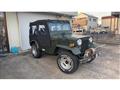 1976 Mitsubishi Jeep