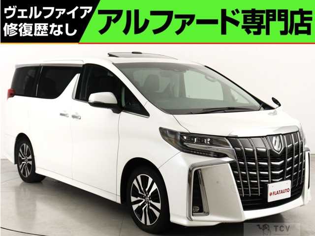 2019 Toyota Alphard G