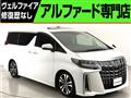 2019 Toyota Alphard G