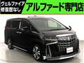 2020 Toyota Alphard G
