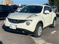 2010 Nissan Juke