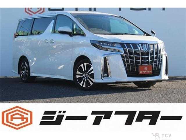 2020 Toyota Alphard G