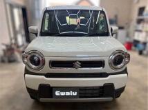 2025 Other All Other All