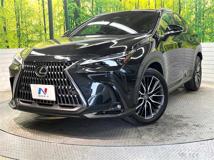 2022 Lexus NX