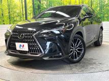 2022 Lexus NX