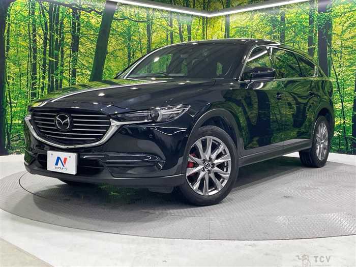 2019 Mazda CX-8