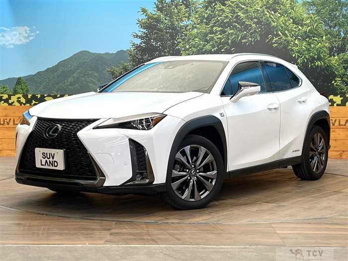 2019 Lexus Other