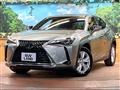 2020 Lexus Other