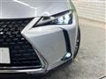2020 Lexus Other