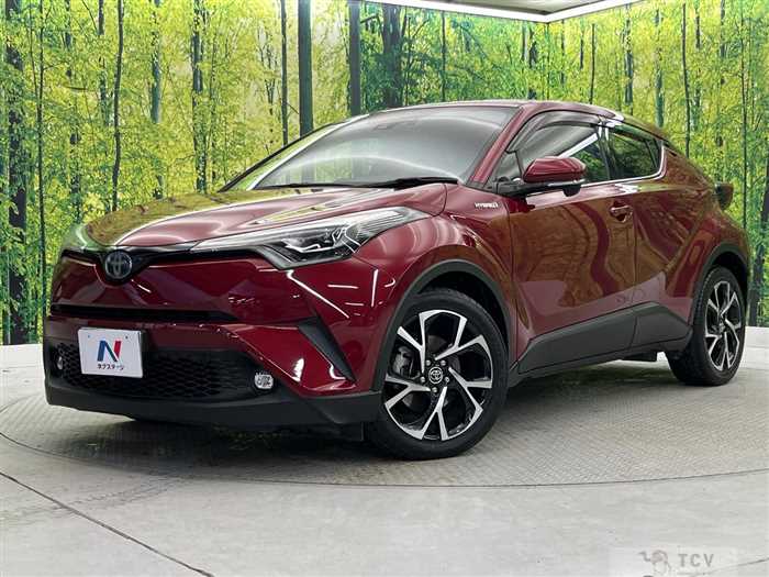 2019 Toyota C-HR
