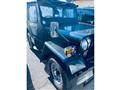1979 Mitsubishi Jeep