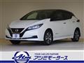 2021 Nissan Nissan Others