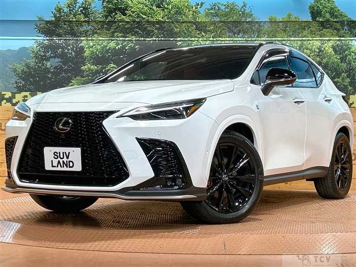 2024 Lexus NX