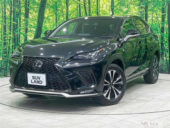 2019 Lexus NX