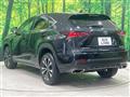 2019 Lexus NX
