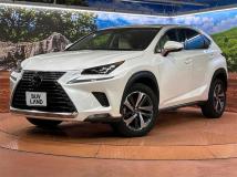 2019 Lexus NX