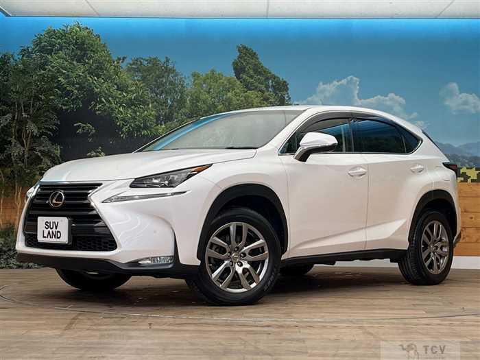 2015 Lexus NX