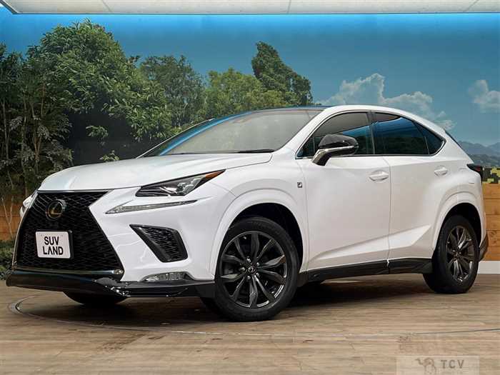 2018 Lexus NX