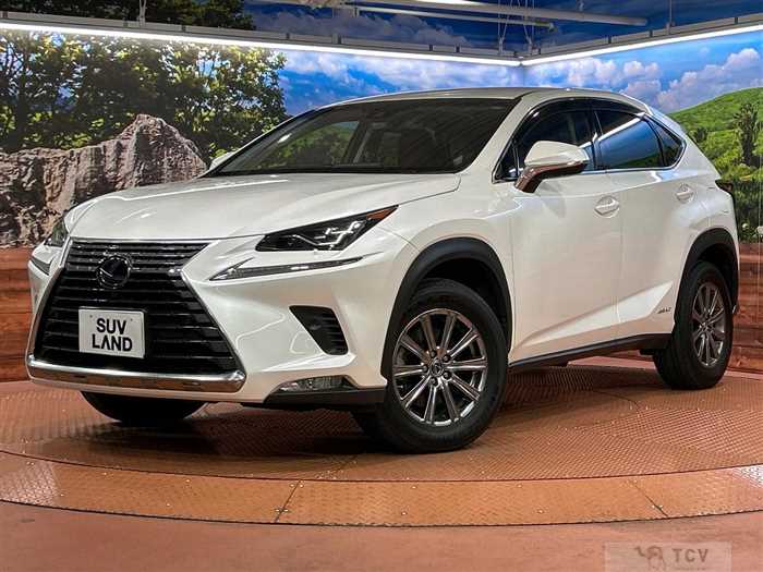 2018 Lexus NX