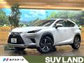 2019 Lexus NX