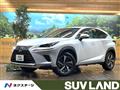 2019 Lexus NX