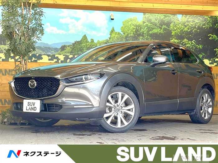 2020 Mazda Mazda Others