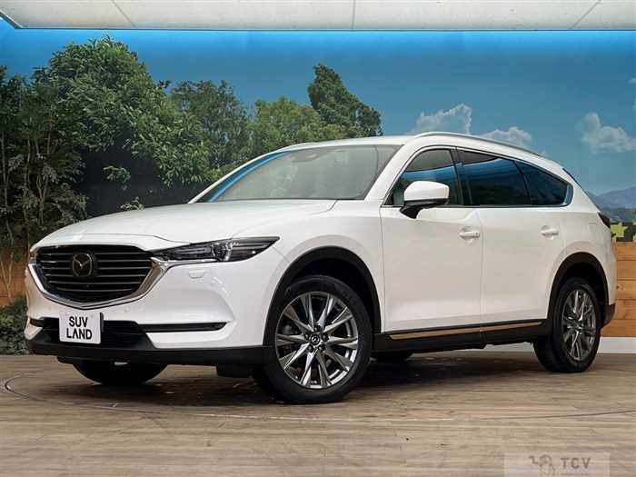 2018 Mazda CX-8