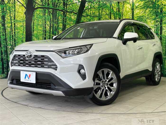 2019 Toyota RAV4