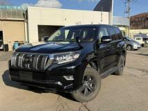 2019 Toyota Land Cruiser Prado