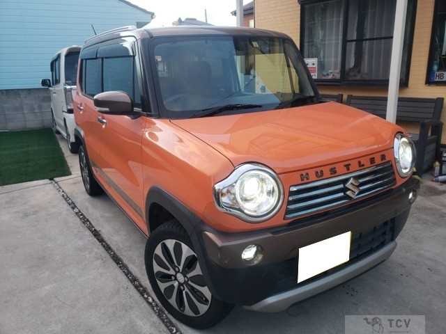 2018 Other All Other All