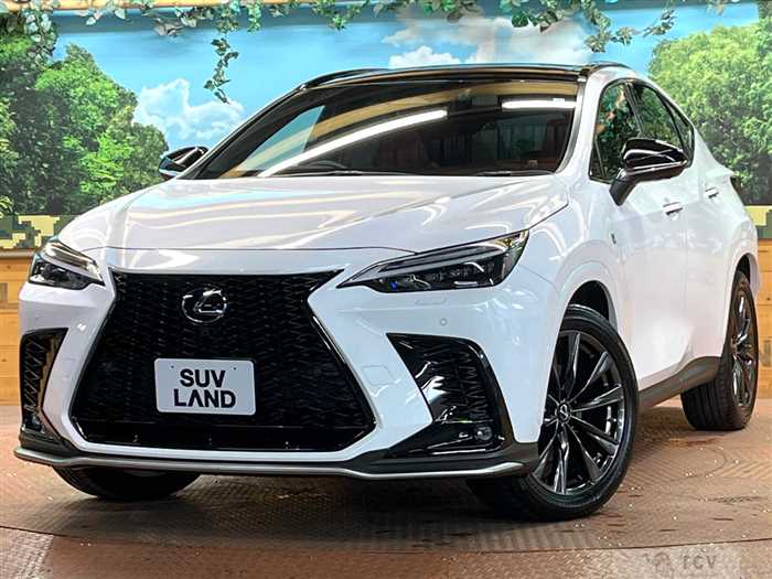 2023 Lexus NX