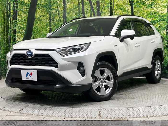 2019 Toyota RAV4