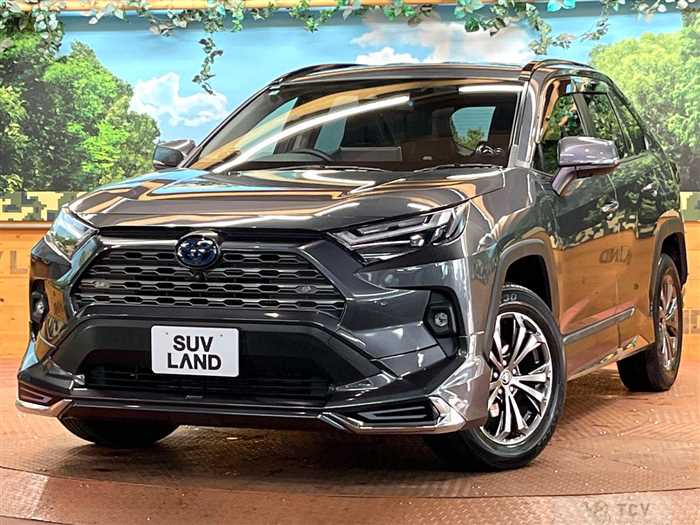 2022 Toyota RAV4