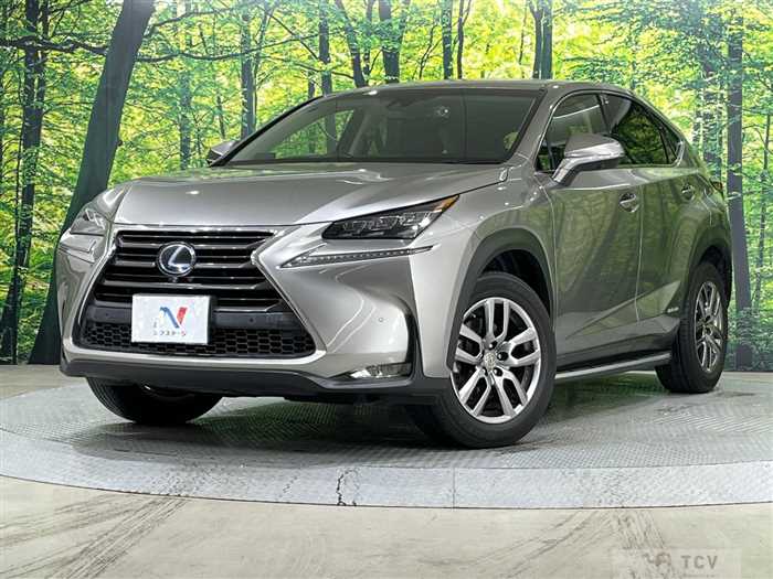 2015 Lexus NX