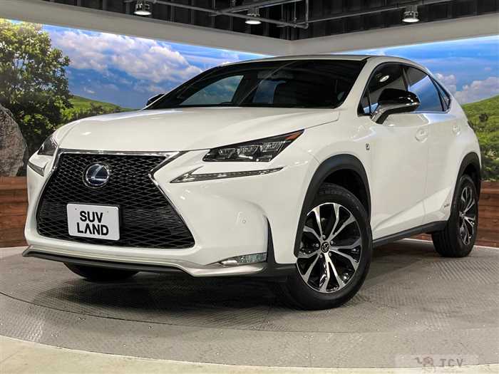 2016 Lexus NX