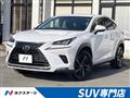 2018 Lexus NX