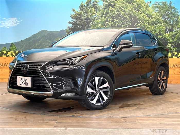 2018 Lexus NX