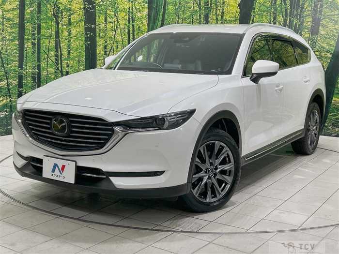 2019 Mazda CX-8