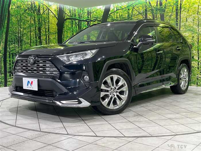 2020 Toyota RAV4