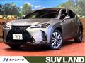 2019 Lexus Other
