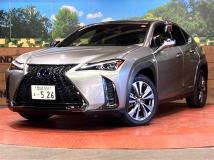 2019 Lexus Other
