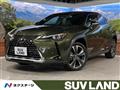 2020 Lexus Other